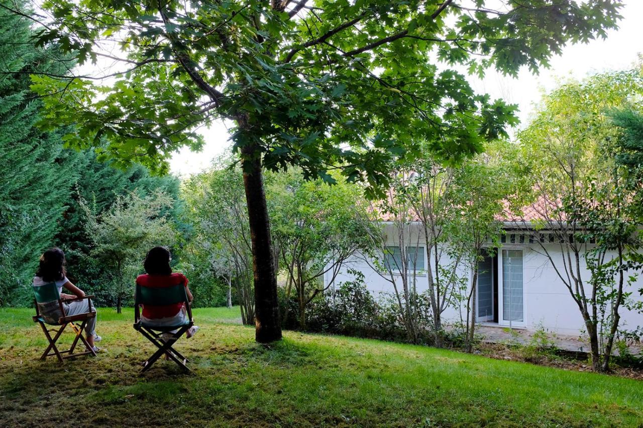 Вилла Casa Do Galo / Galo House Vimioso Экстерьер фото